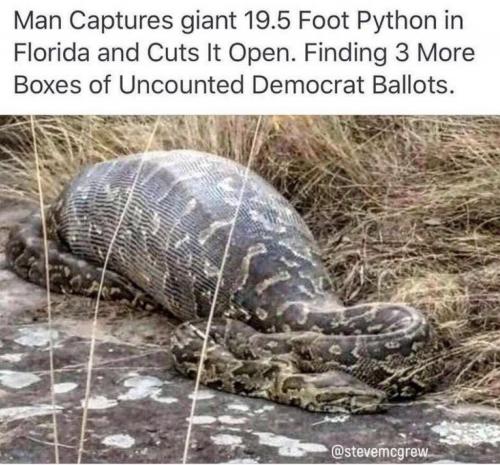 20:20:04 GMT-0600 (CST).image