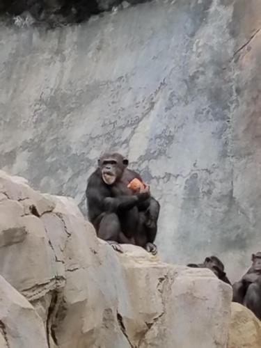 15:30:07 GMT-0800 (PST)