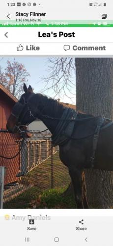 13:24:52 GMT-0500 (EST)