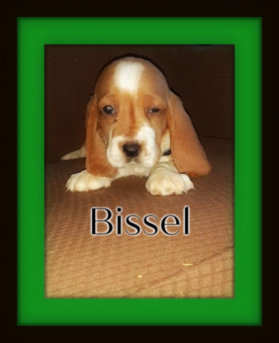 120585298-1774810459340194-8795641816207150071-n