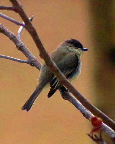 21:29:11 GMT-0600 (CST)