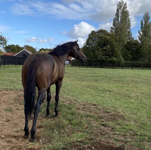 00:03:34 GMT-0800 (PST)