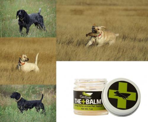 10:28:13 GMT-0800 (PST)