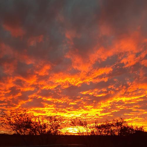 20:14:40 GMT-0700 (MST)