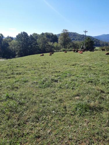 14:58:46 GMT-0500 (EST)