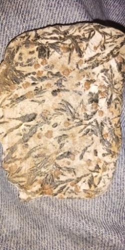 21:43:54 GMT-0600 (CST)