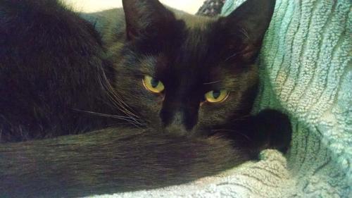 IMG_20160522_141333042