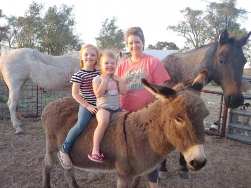 07:35:32 GMT-0600 (CST)