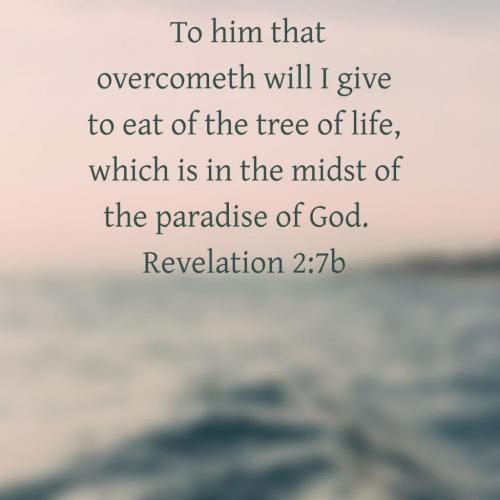 08:11:31 GMT-0500 (EST)