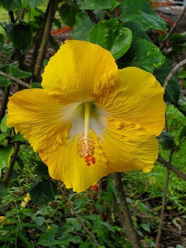 15:06:59 GMT-0800 (PST)