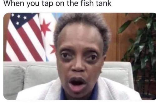 128112727_210518290477035_1613507933528120925_n