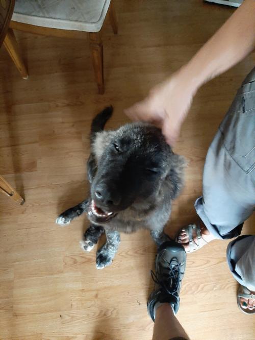 17:37:51 GMT-0500 (EST)