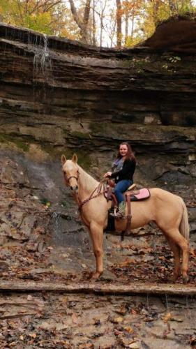 15:29:18 GMT-0500 (EST)