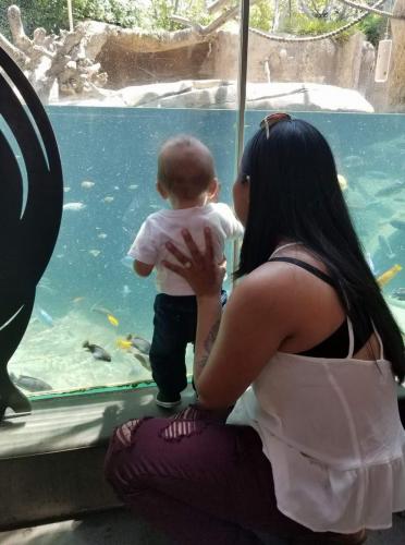 09:58:32 GMT-0800 (PST)