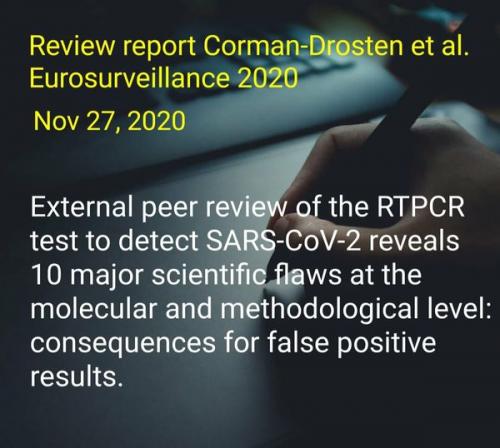 10_Flaws_In_PCR_Test
