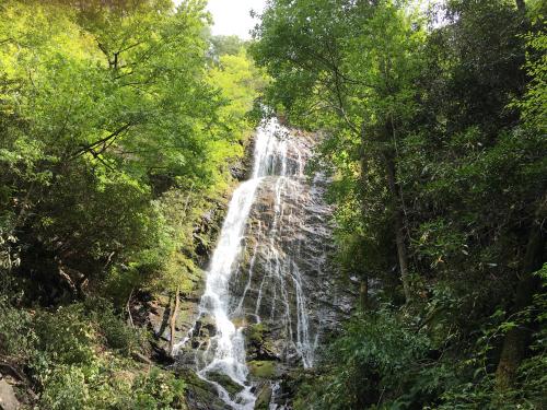 10:31:14 GMT-0500 (EST).image