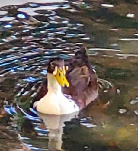 15:26:21 GMT-0800 (PST)