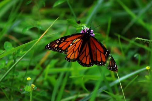 21:29:11 GMT-0600 (CST)