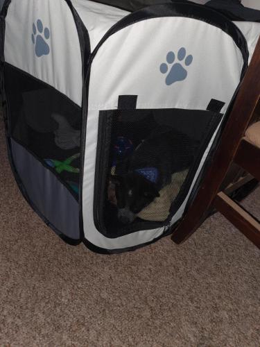 20:55:16 GMT+1100 (AEDT)