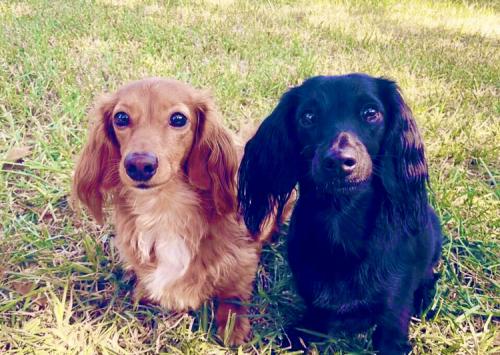 03:25:36 GMT-0600 (CST).image