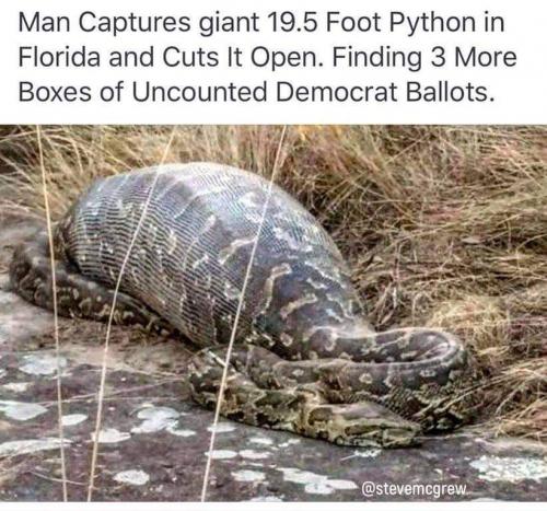 19:23:37 GMT-0600 (CST)