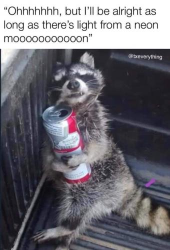 14:41:12 GMT-0500 (EST)