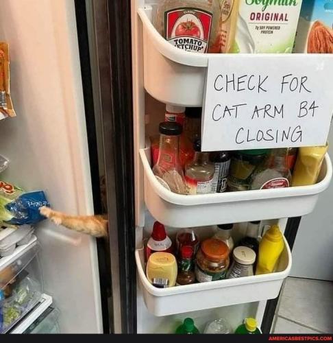 06:10:44 GMT-0600 (CST).image