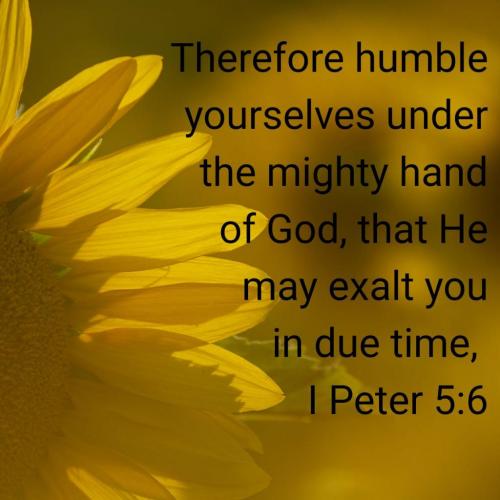 00:06:35 GMT-0500 (EST)