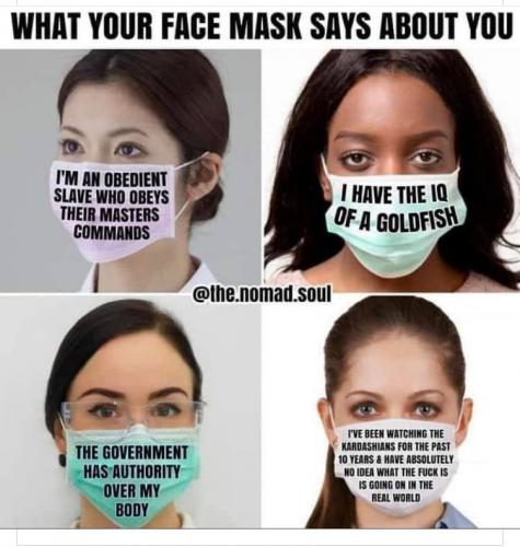 119261362_10158259169935485_2946883858588359206_n