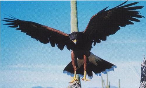 10:43:02 GMT-0800 (PST).image