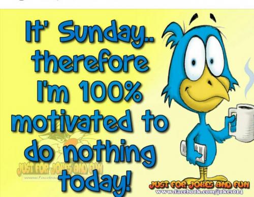 Screenshot_2019-09-04-22-02-14-1