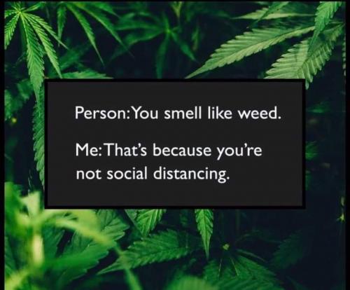 15:11:14 GMT-0500 (EST)