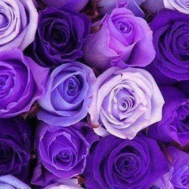 22:24:18 GMT-0600 (CST)