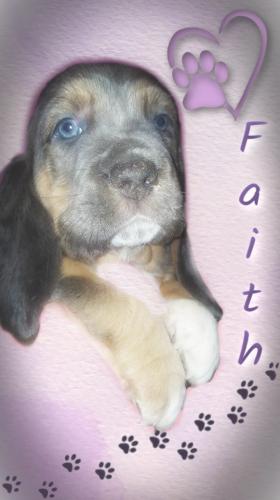 faith-5-wks-2-orig