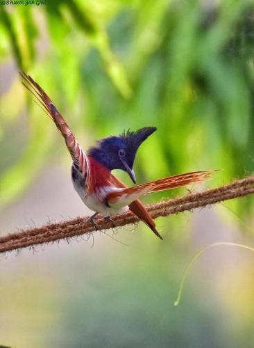 125435451_1023315658167729_8521999417612047162_o