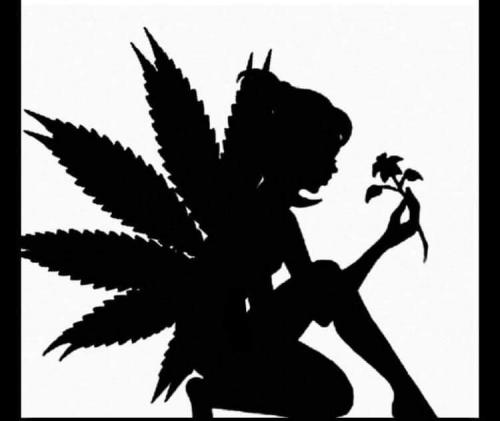 FB_IMG_1604541566474