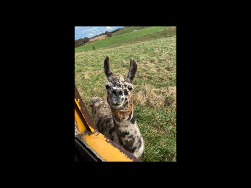 23:13:28 GMT-0500 (EST).image