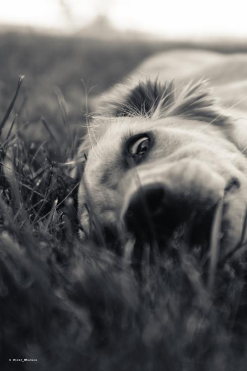 00:17:06 GMT-0500 (EST).image