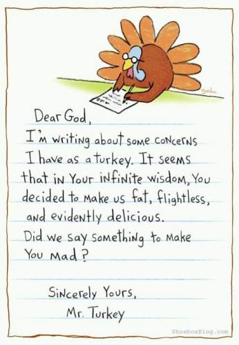 Turkey Writes to God