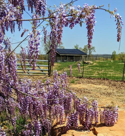 07:58:27 GMT-0600 (CST)