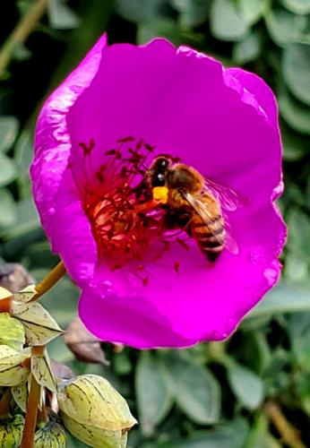 15:54:41 GMT-0800 (PST)