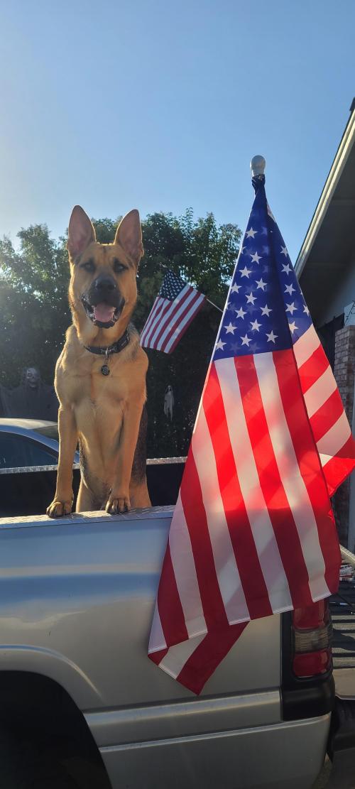 22:21:32 GMT-0800 (PST)