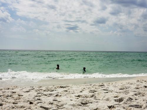 11:39:15 GMT-0600 (CST)