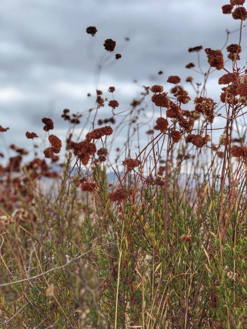 02:43:04 GMT-0800 (PST).image