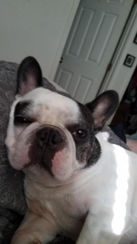 10:09:47 GMT-0600 (CST)