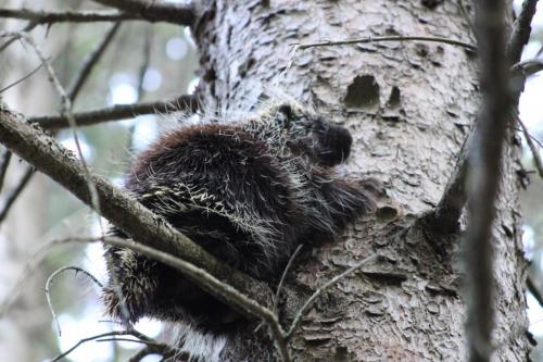 16:23:20 GMT-0500 (EST).image