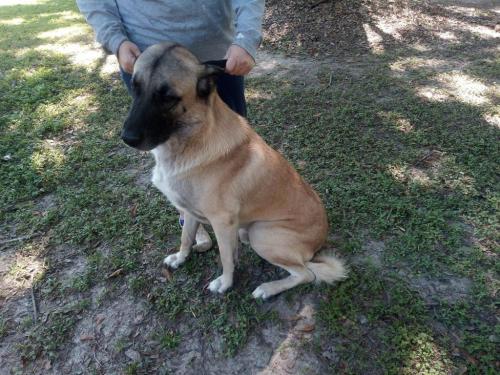 01:45:09 GMT-0600 (CST)