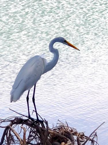 15:42:50 GMT-0800 (PST)