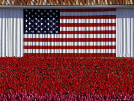 092e62bfce2cf1501cad522fe5776ac5