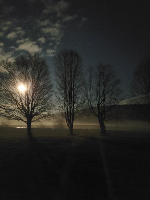 07:59:45 GMT-0600 (CST)